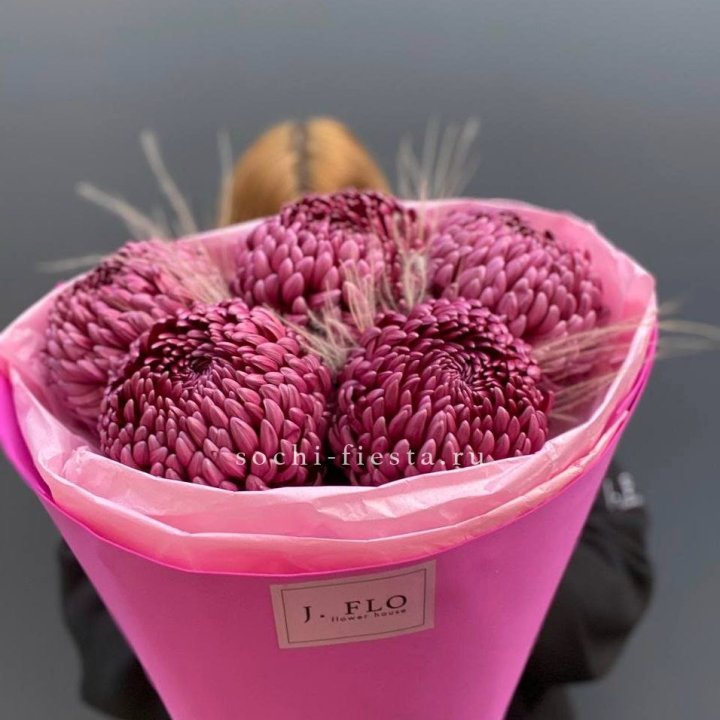 Хризантемы  Бигуди с стифой в Нижнем Тагиле