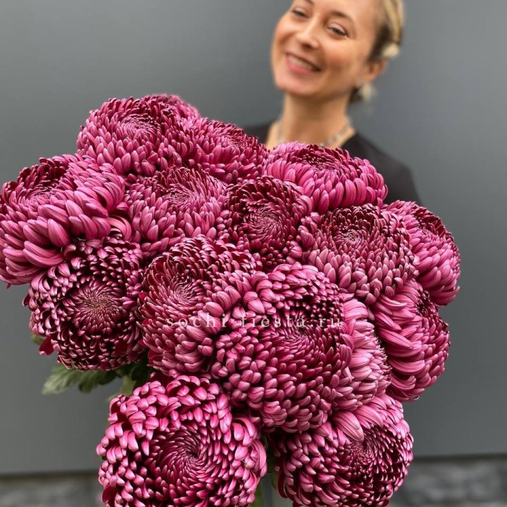 Охапка хризантем Бигуди в Нижнем Тагиле