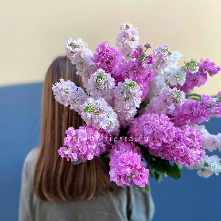 Охапка маттиолы в Нижнем Тагиле