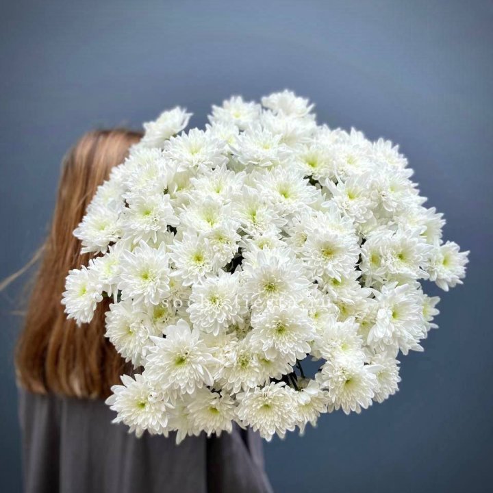 Охапка Хризантемы кустовой в Нижнем Тагиле