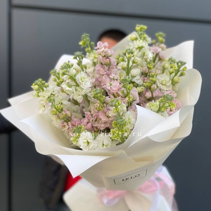 29 маттиол  в Нижнем Тагиле