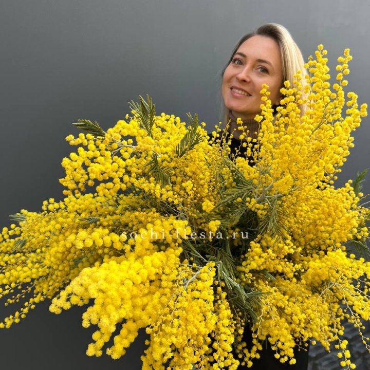 Охапка мимозы №2 в Нижнем Тагиле