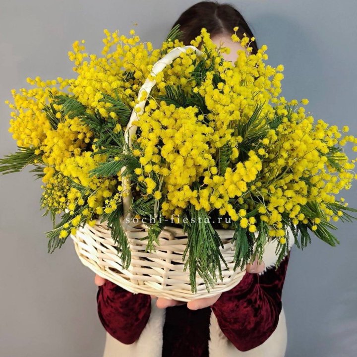 Корзина ароматной мимозы в Нижнем Тагиле