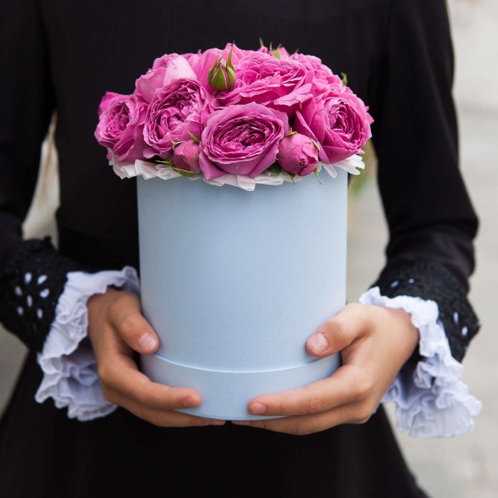 Бокс мини мисти в Нижнем Тагиле