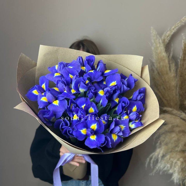 Ирисы в Нижнем Тагиле