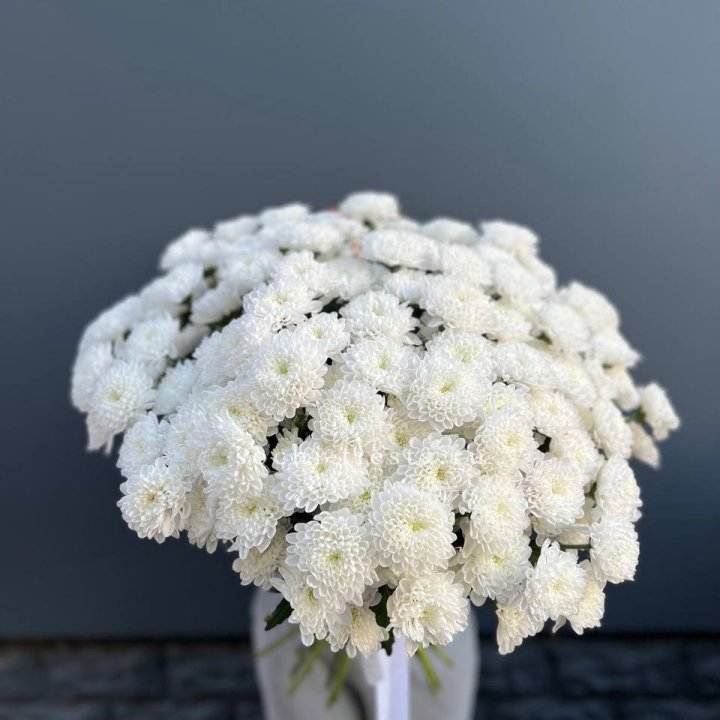  25 хризантем белых в Нижнем Тагиле