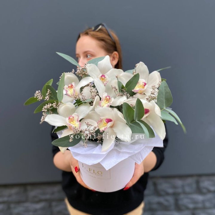 7 орхидей в боксе в Нижнем Тагиле