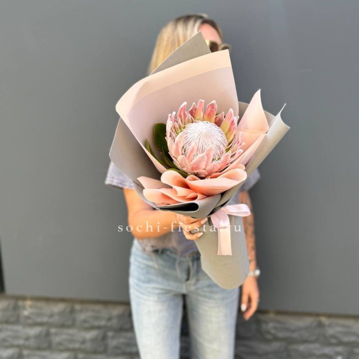 Протея мини  в Нижнем Тагиле