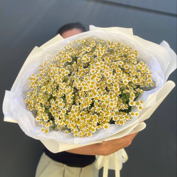 Букет ромашек №2 в Нижнем Тагиле