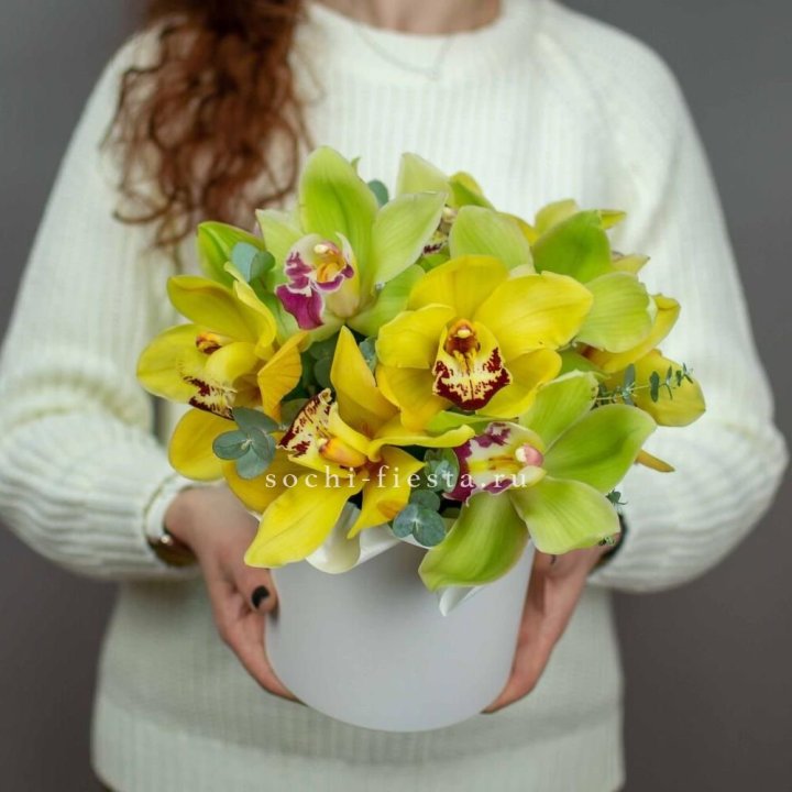 Бокс с орхидей №1 в Нижнем Тагиле