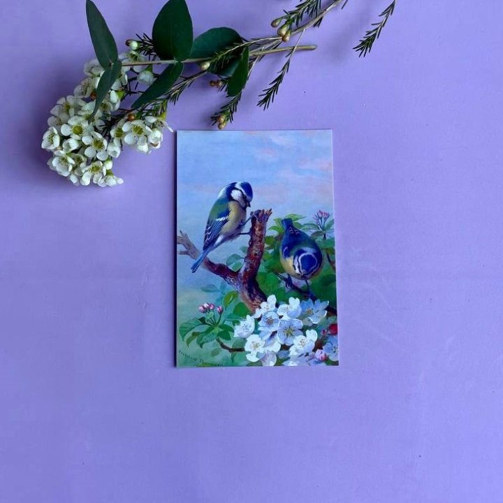 Открытка к букету "Птицы" в Нижнем Тагиле