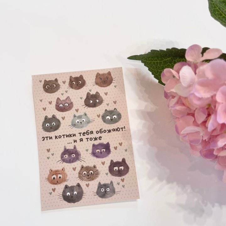 Открытка к букету "Котики" в Нижнем Тагиле