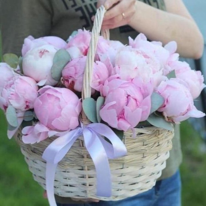 15 пионов в корзине в Нижнем Тагиле