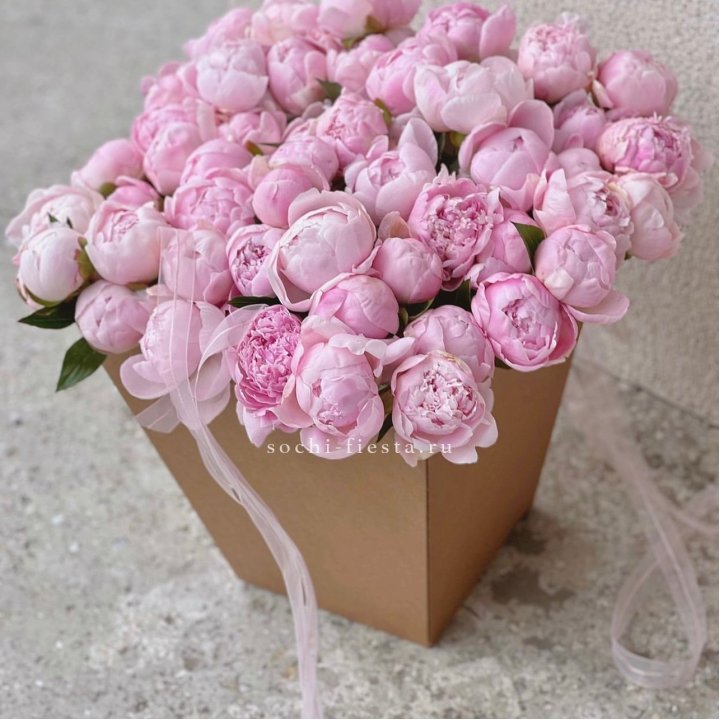 49 пионов в крафт коробке в Нижнем Тагиле