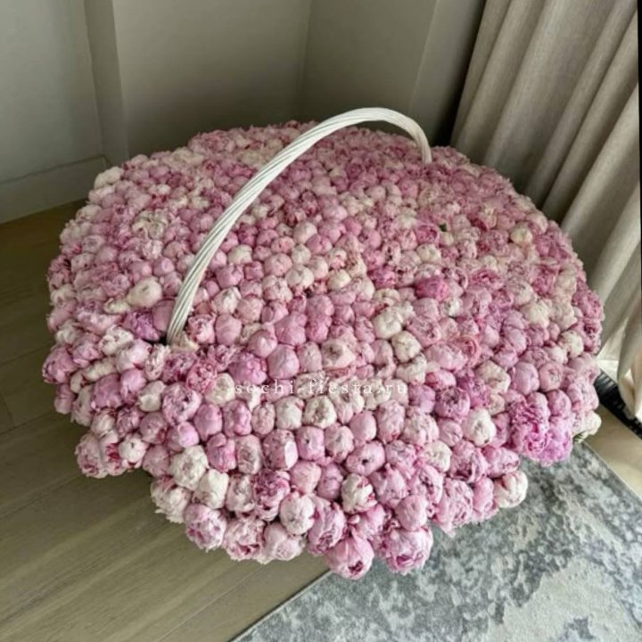 Корзина 555 пионов в Нижнем Тагиле