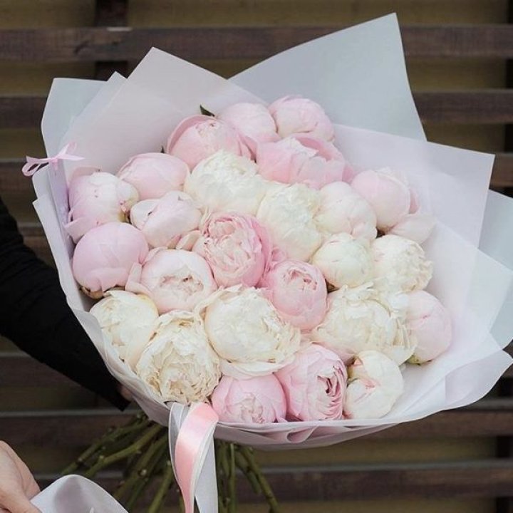 29 пионов в Нижнем Тагиле