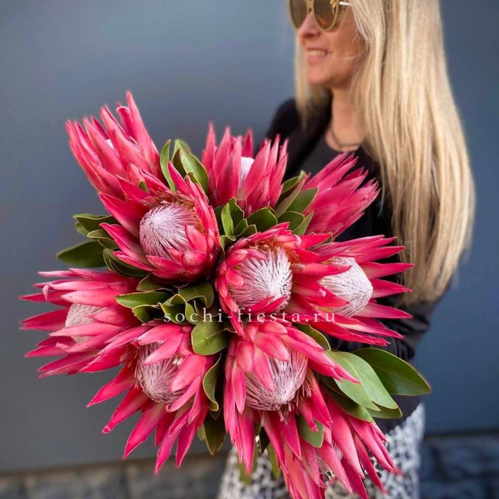 Протея штучно в Нижнем Тагиле