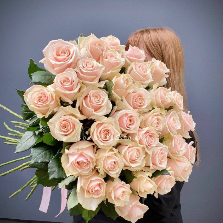 35 кремовых высоких роз в Нижнем Тагиле