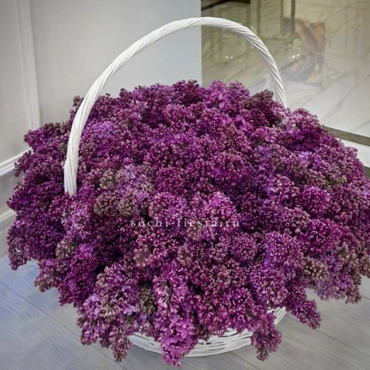 Корзина сирени в Нижнем Тагиле