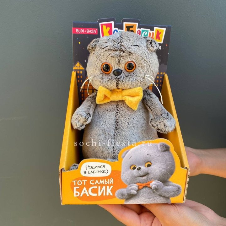 Кот Басик с бабочкой в Нижнем Тагиле