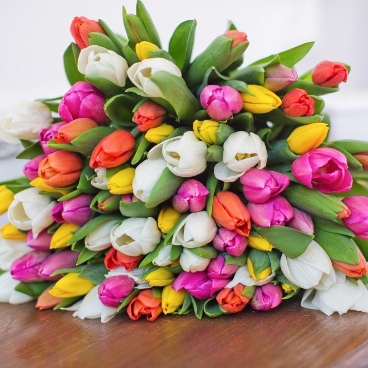 79 тюльпанов "Рандом" в Нижнем Тагиле