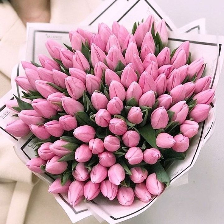 101 розовый тюльпан в белом в Нижнем Тагиле