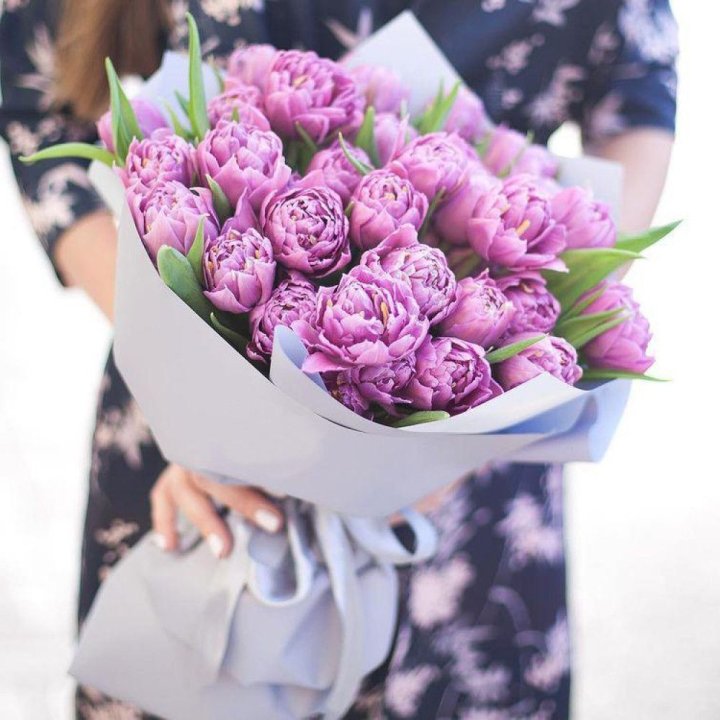 Тюльпаны "Пионс" в Нижнем Тагиле