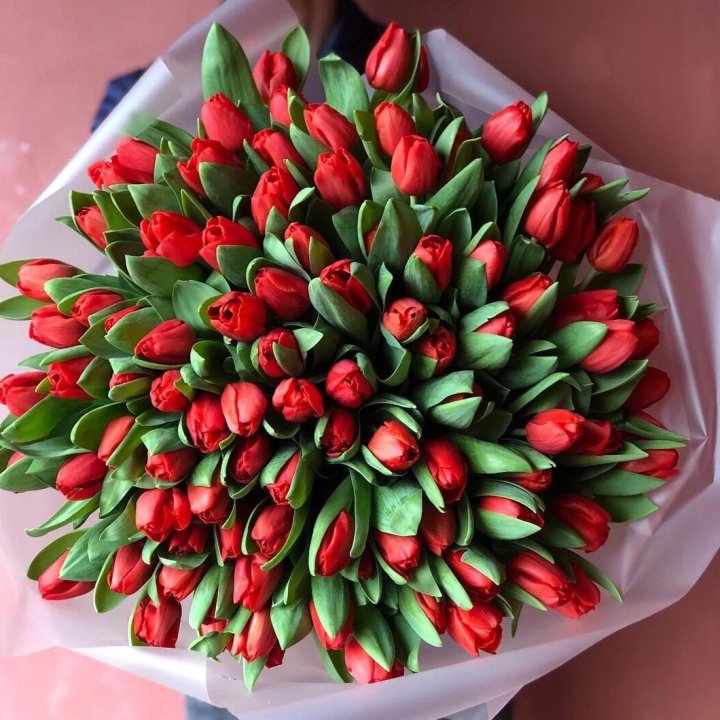 101 красный тюльпан в Нижнем Тагиле